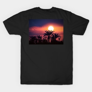 Sunset View In The Palm Forest T-Shirt